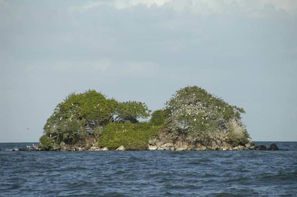 Hotel San Juan Ometepe Altagracia Dış mekan fotoğraf